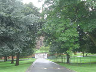 Image 6 
