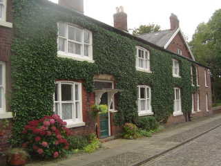 Image 11