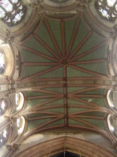 Image 8 