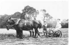 Land girl cutting hay