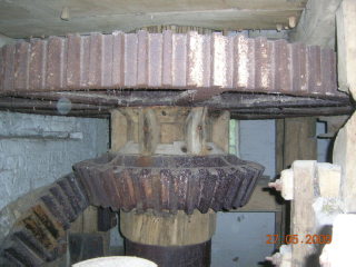 Image 4 