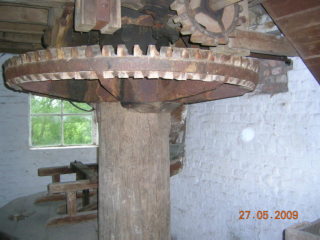 Image 6 