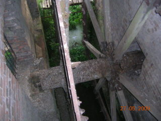 Image 7