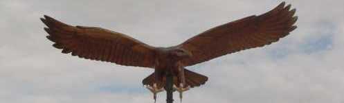 Eagle