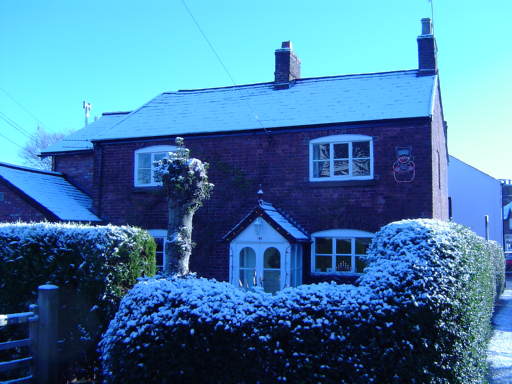Image 8 