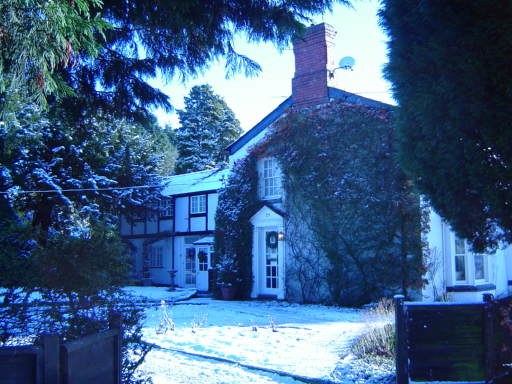 Image 11